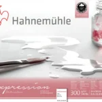 Hahnemühle Akvarellblock Expression