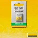 Akvarellfärg Winsor & Newton Prof. 1/2-kopp